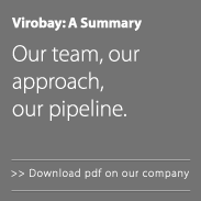 Download pdf on our company